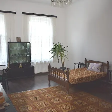 Apollonia Hirscher Apartament Centru Istoric Apartamento Braşov